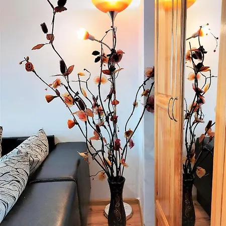 Daire 3 Apartment, Center, 1st Floor, Aubg, Free Parking, Pc I5 Ssd, 3 Led Tvs 200 Channels, Wifi, Terrace, Easy-late Check-in, Before Greece