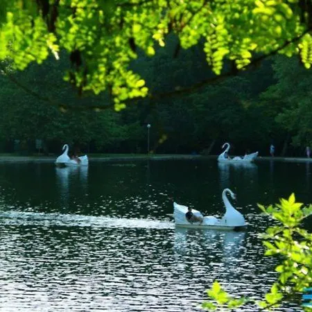 3 Apartment, Center, 1st Floor Flat, Aubg, Wifi, Pc I5 Ssd, Tablet, Androidmitvbox, 3 Led Tvs 200 Channels, Long Terrace, Self-easy-late Check-in, Before Greece * בלאגובגראד
