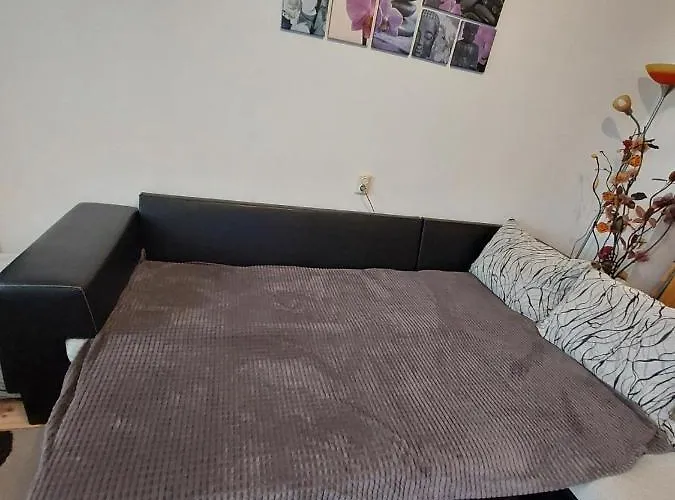 3 Apartment, Center, 1st Floor Flat, Aubg, Wifi, Pc I5 Ssd, Tablet, Androidmitvbox, 3 Led Tvs 200 Channels, Long Terrace, Self-easy-late Check-in, Before Greece アパート ブラゴエヴグラト